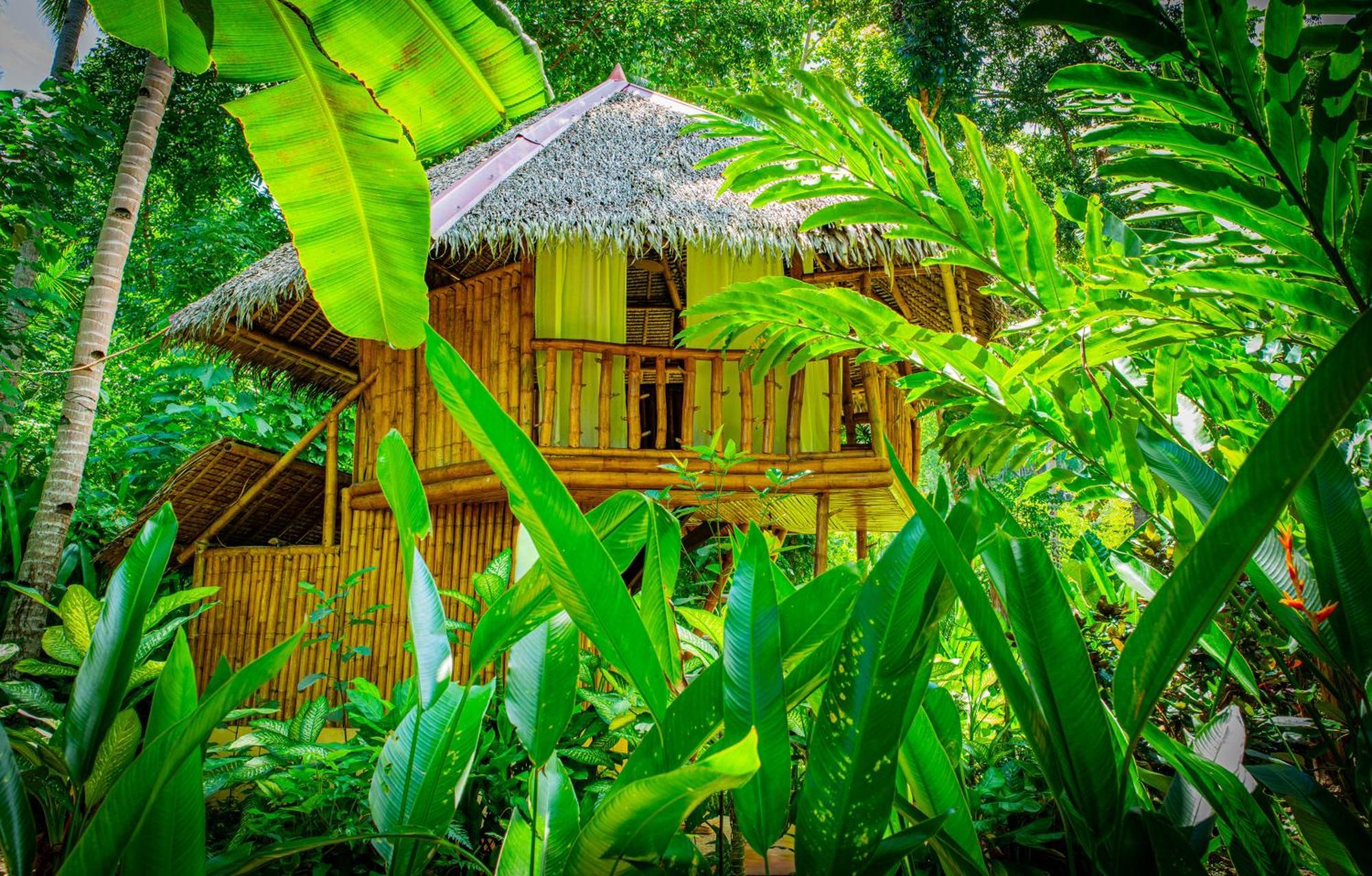 Water To Forest Ecolodge Лобок Экстерьер фото